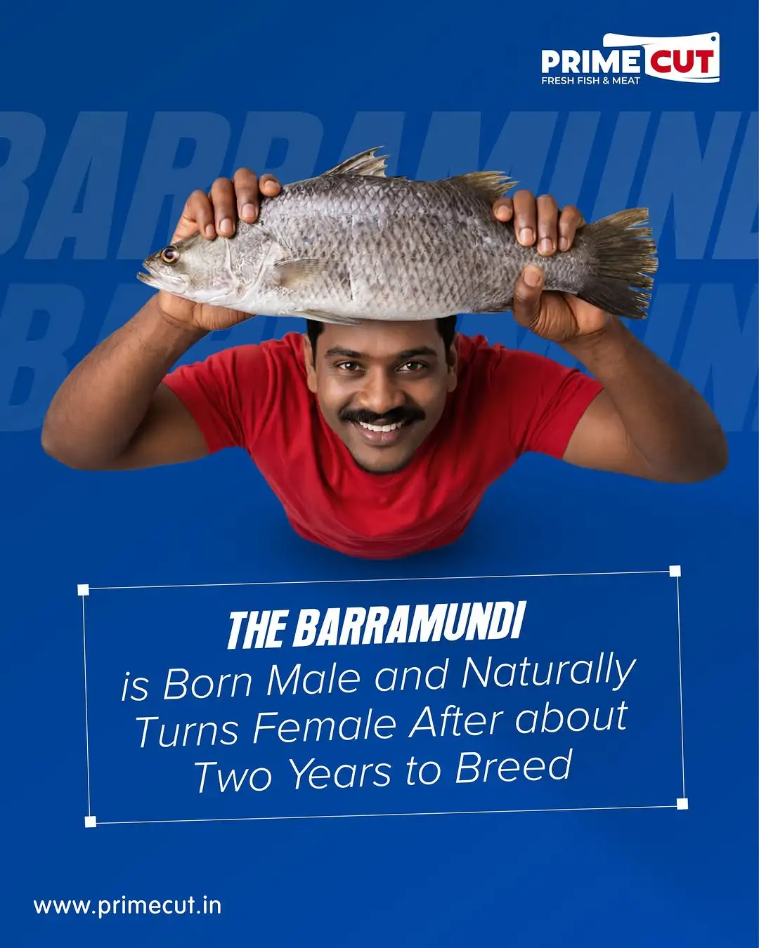 Selvarani