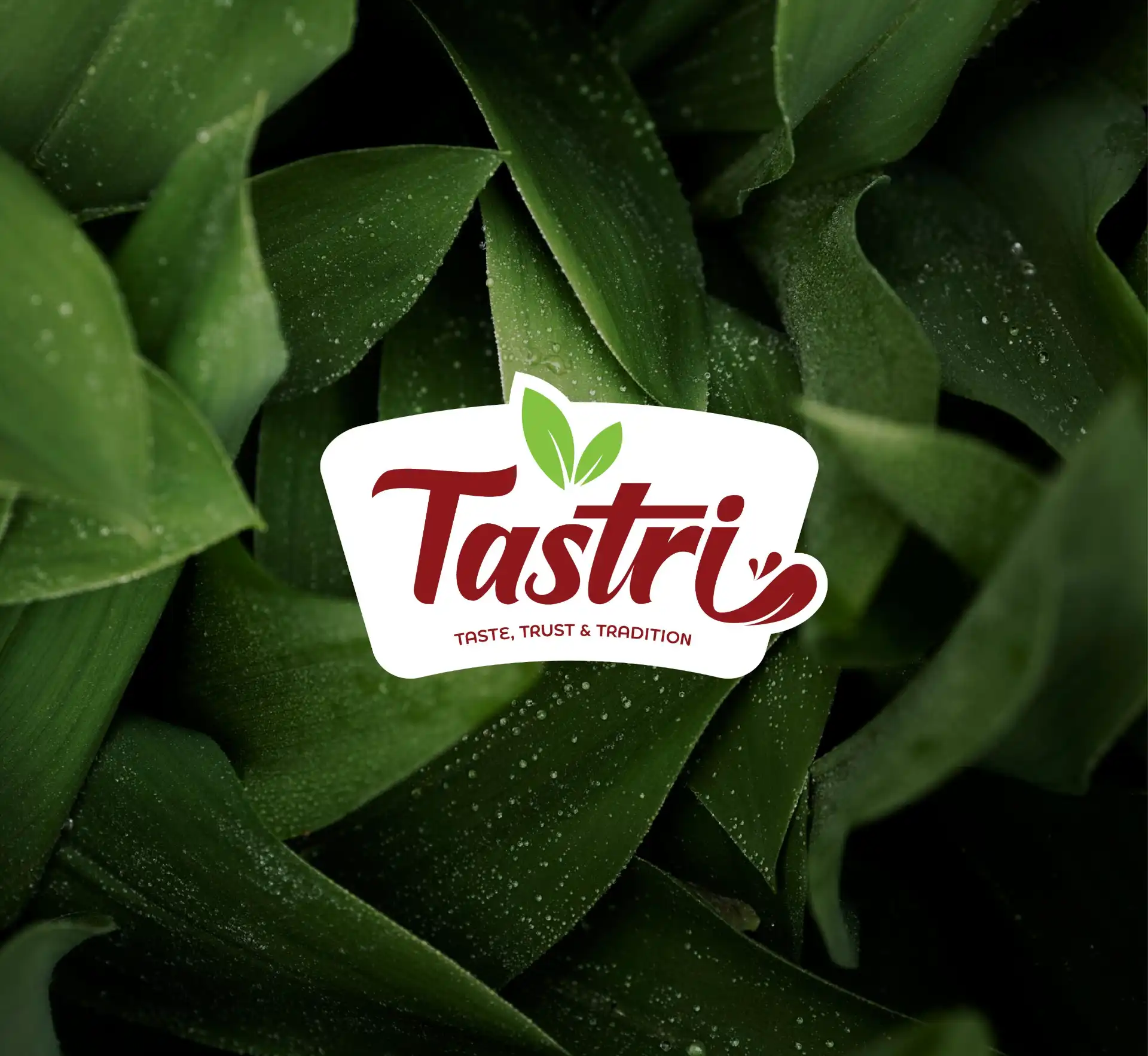 Tastri food brand visual direction